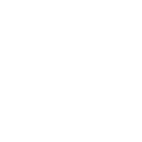 Black Desert Online